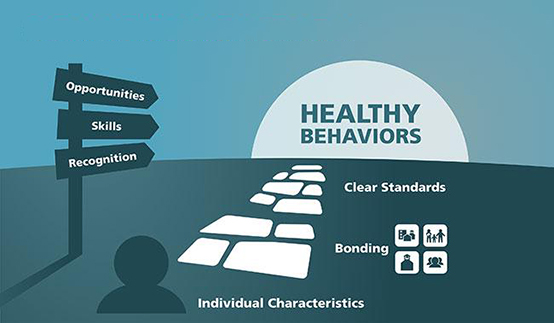 Communities that care model
